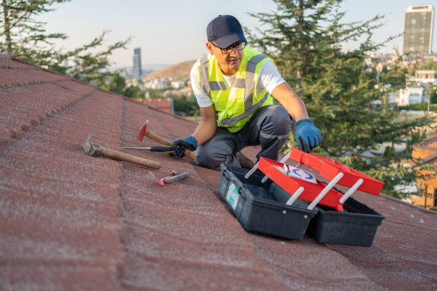 Best Siding Replacement  in Francis, UT